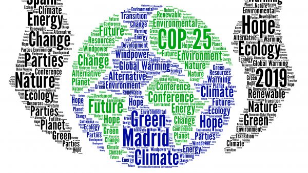 COP25 Madrid, African countries
