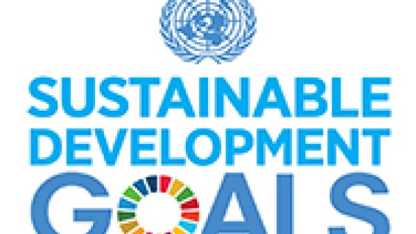 S&amp;Ds endorse new European consensus on development, Sustainable Development Goals (SDGs), Norbert Neuser MEP, poverty eradication, #EndEnergyPoverty, climate change and agriculture, to tackling tax evasion and avoidance,  gross national income (GNI) for o