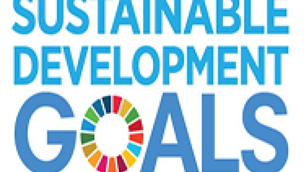 SDGs, The Commission must step up its ambition to make the Sustainable Development Goals a reality,  Seb Dance, Kathleen Van Brempt, 