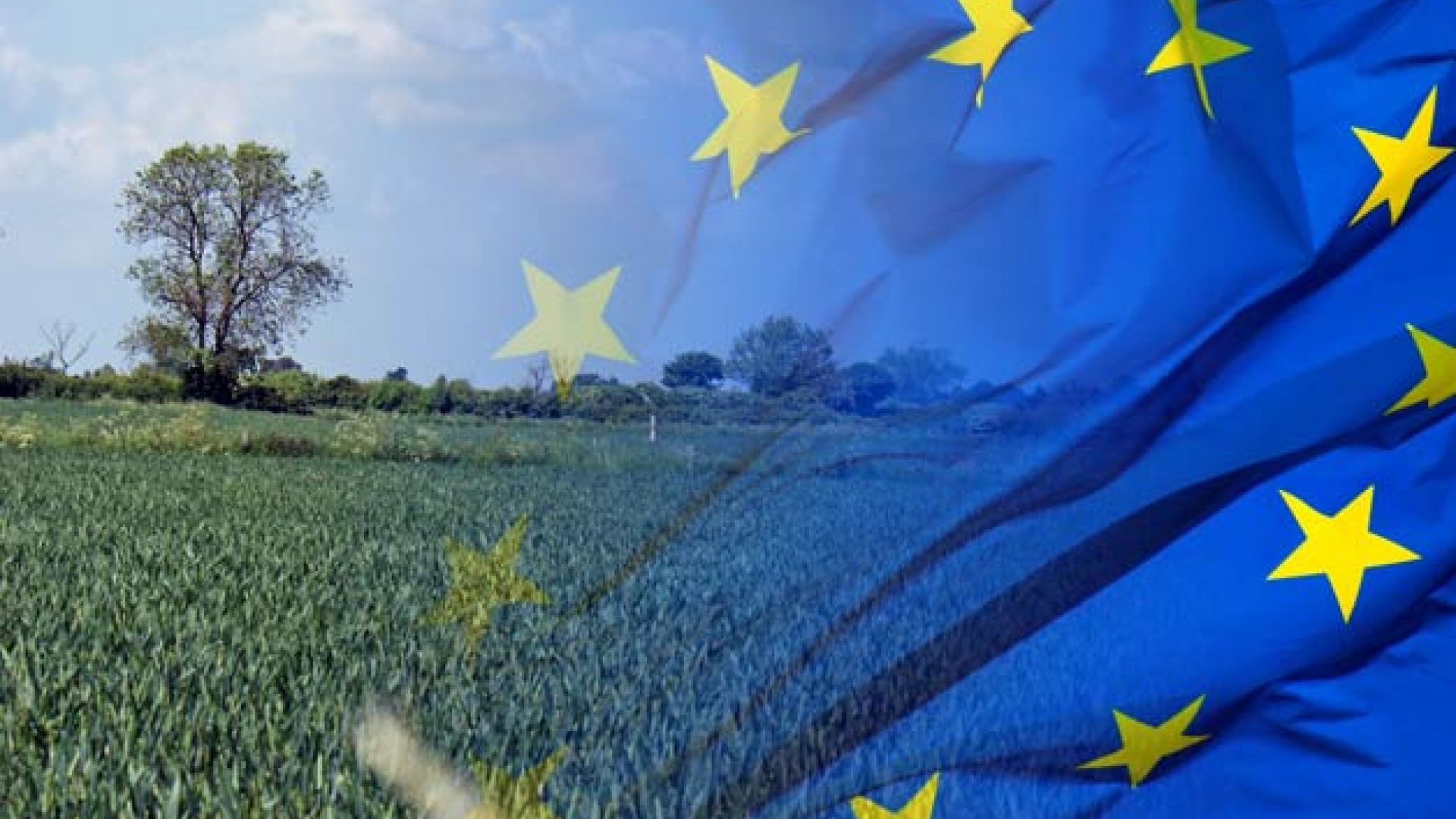 The new Common Agricultural Policy will be greener with a red heart, thanks  to the S&Ds | Socialists & Democrats