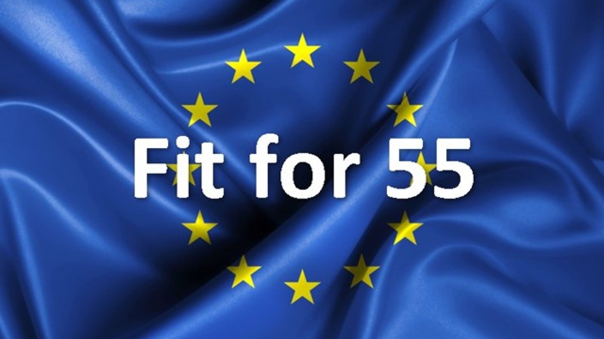 S&D: “Con l'approvazione della revisione della Riserva di stabilità del  mercato per gli EU-ETS oggi abbiamo alzato l'asticella del Fit for 55” |  Socialists & Democrats