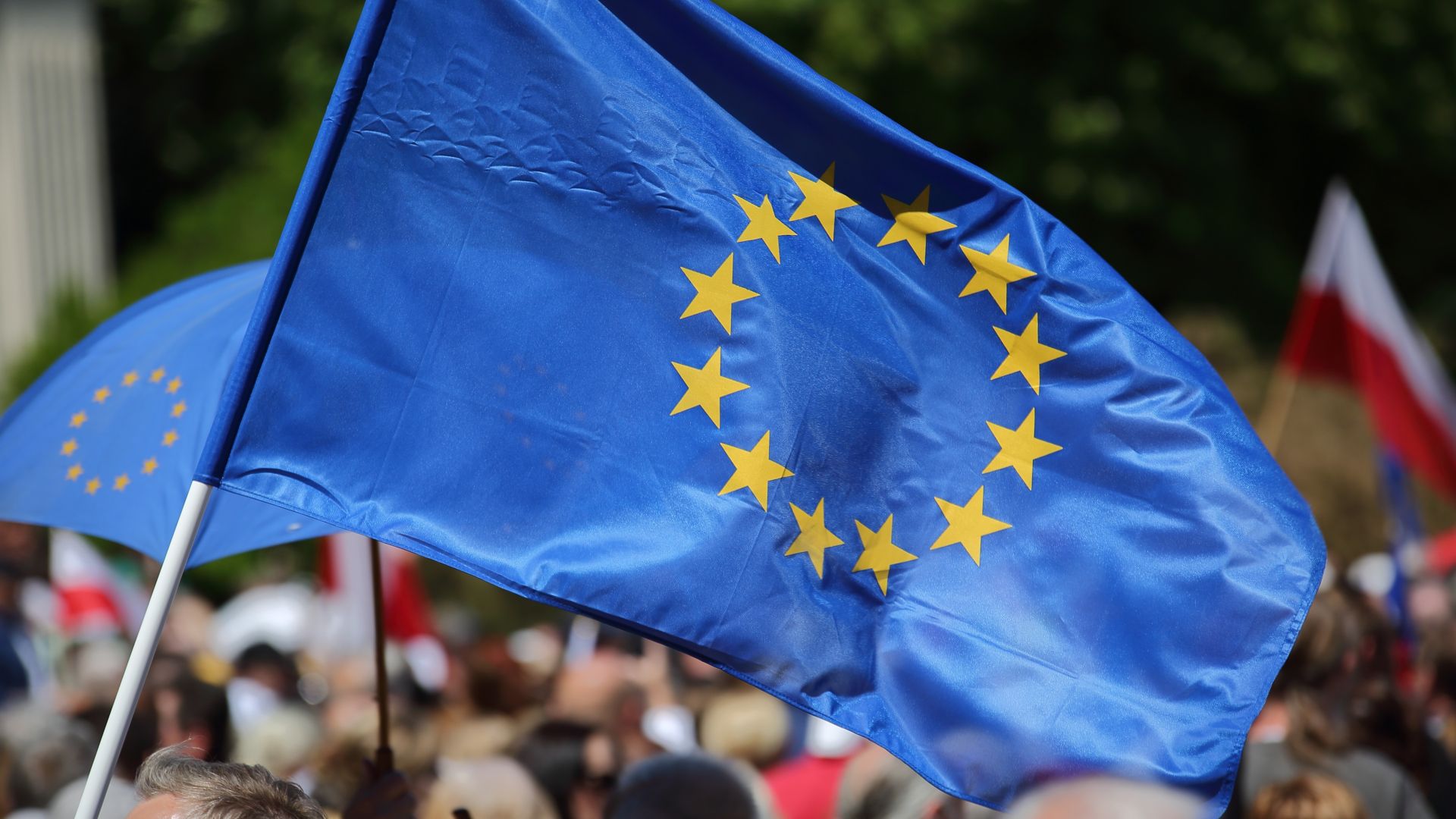 EU flags held at a protest