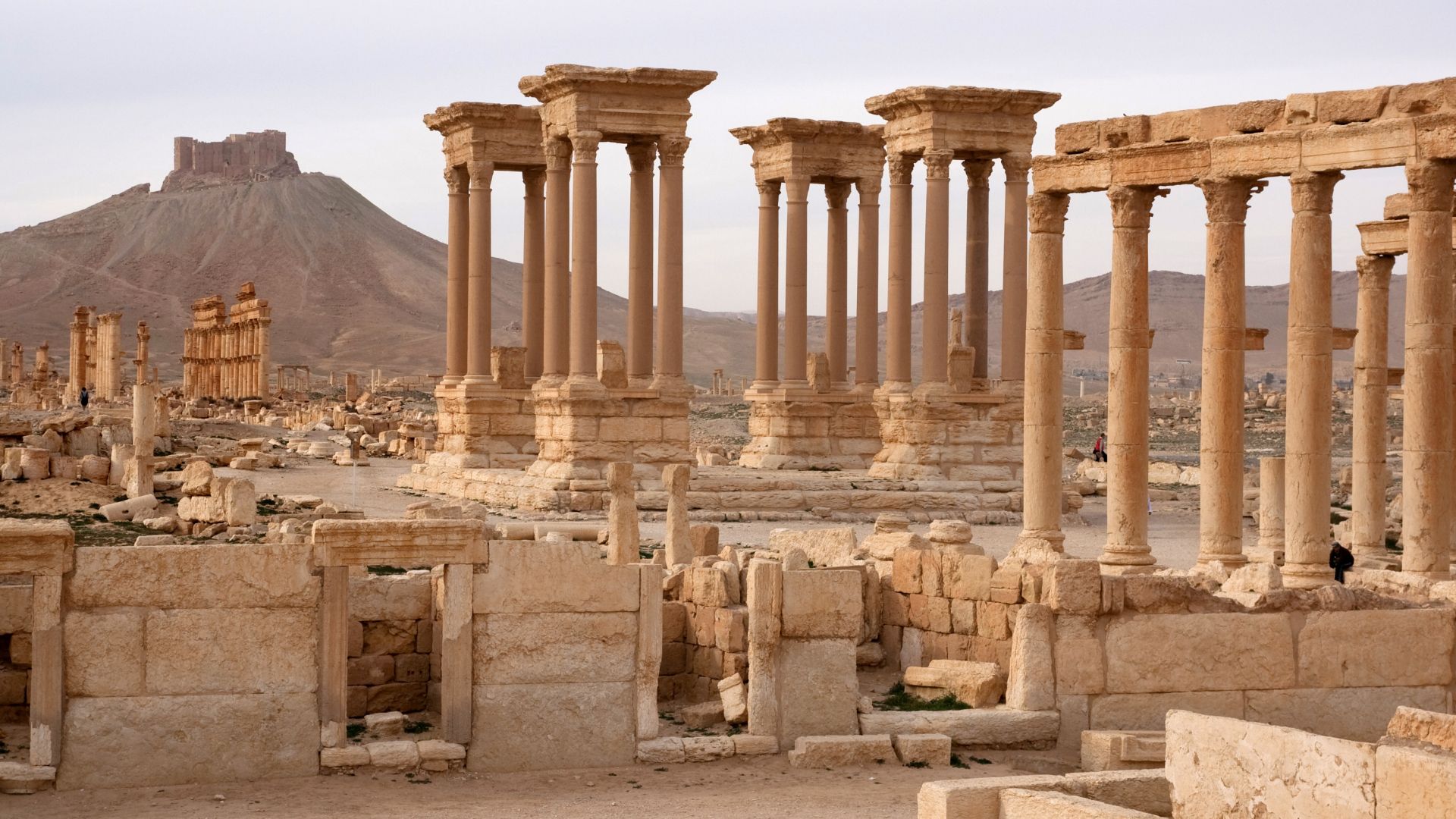 archaeological site of Palmyra