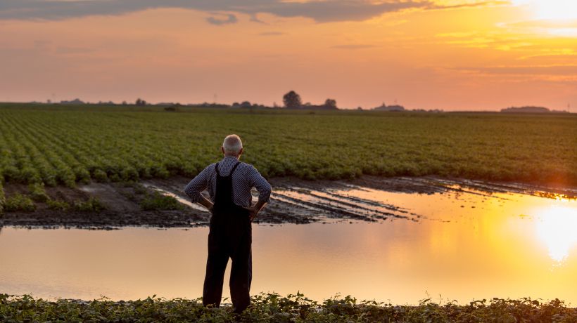 Committee on the Environment, Climate and Food Safety