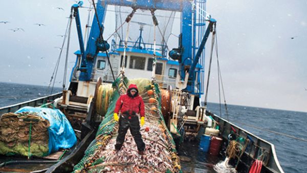 Fisheries and climate change
