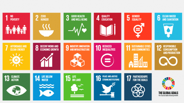 Sustainable Development Goals SDG