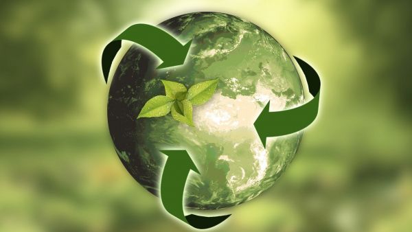 Sustainable single market