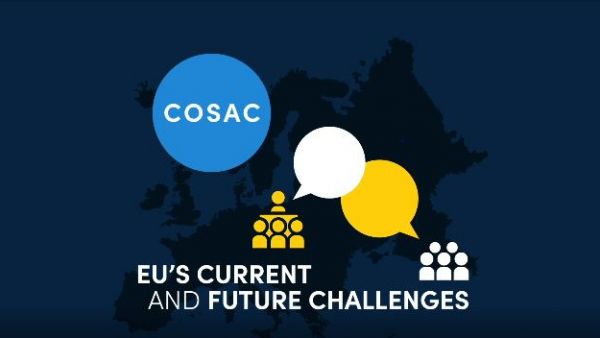 LXV COSAC Plenary - S&D Preparatory Meeting, on 31 May 2021