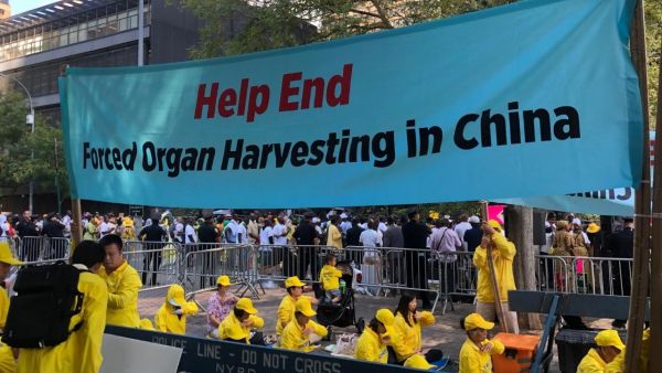 Falun Gong china organ harvesting