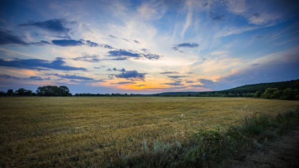 Rural fields sunset