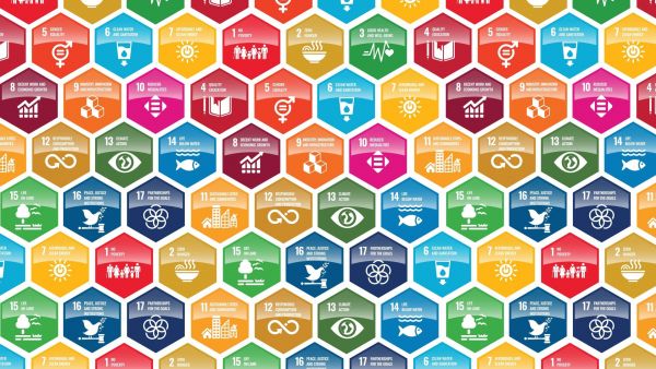 Sustainable Development Goals SDGs