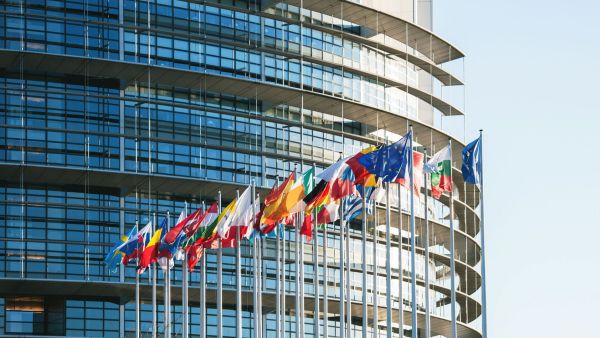 EU flags Strasbourg European Parliament