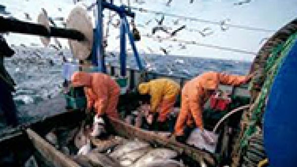 S&amp;Ds North Sea Plan must provide for sustainable fisheries and conservation