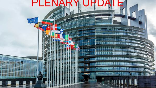 S&D Group's news on the European Parliament's Plenary session in Strasbourg - 11 to 14 February 2019