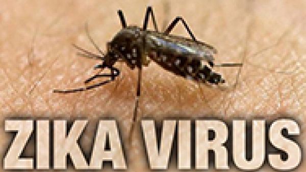 Zika is a global health threat which must be stopped, says Matthias Groote, EU Early Warning and Response System for medical emergencies, European Centre for Disease Prevention and Control, microcephaly, 