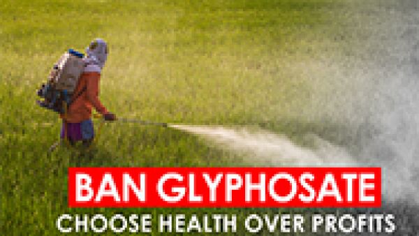 S&Ds win a big parliamentary victory to phase out glyphosate, World Health Organisation, carcinogenic, Monsanto, Miriam Dalli MEP, weed killers, Pavel Poc MEP, man spraying glyphosate herbicide