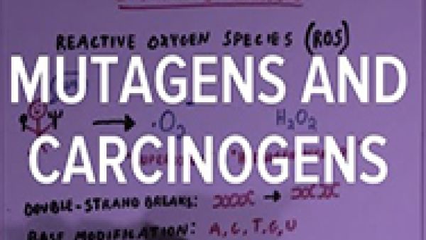 S&D Group back proposals to strengthen the protection of workers against new carcinogens and mutagens S&D Group back proposals to strengthen the protection of workers against new carcinogens and mutagens