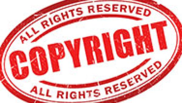 S&amp;D MEPs vote to protect freedom of panorama and effective copyright reform 