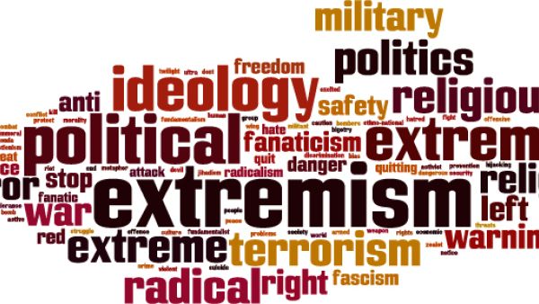 radicalisation, terrorism, Extremism, Birgit Sippel, Daesh in Syria, external borders or PNR, marginalisation, social exclusion and inequality, Ana Gomes, Anti-radicalisation report,