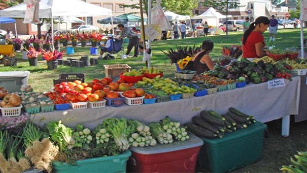 Common organisation of the markets in agricultural products