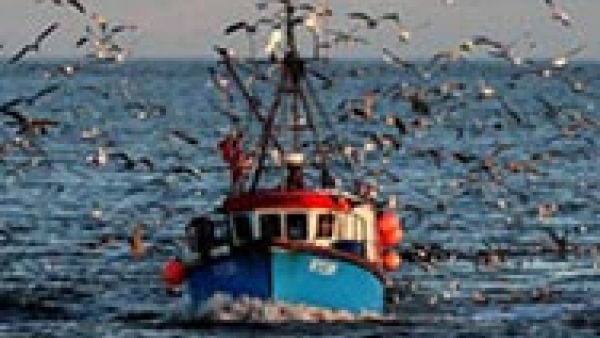 Today&#039;s fisheries committee coordinators decision deprives fishermen of legal security, say S&amp;Ds, objection to the Delegated Regulation, the CFP (Common Fisheries Policy) Reform, landing obligation, Ulrike Rodust, Basic Regulation of the CFP Reform
