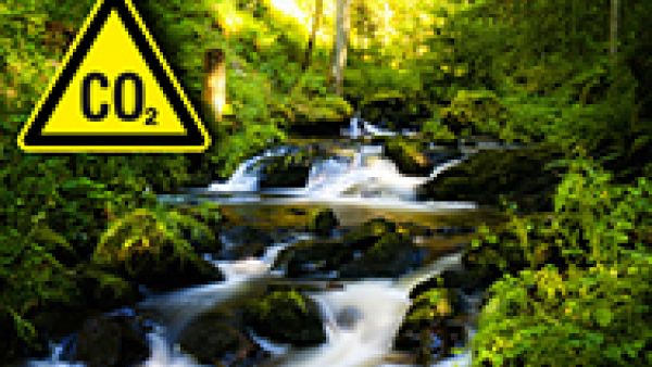 Forest management has crucial role to play in combating climate change, say S&Ds, CO2-emissions-reduction, Paul Brannen, S&D MEP , Forest management has a crucial role to play in combating climate change, say S&Ds