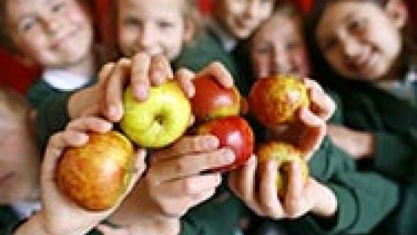 More fruit, vegetables and milk for 30 million European school children, S&amp;D MEP Marc Tarabella, overweight or obese, 