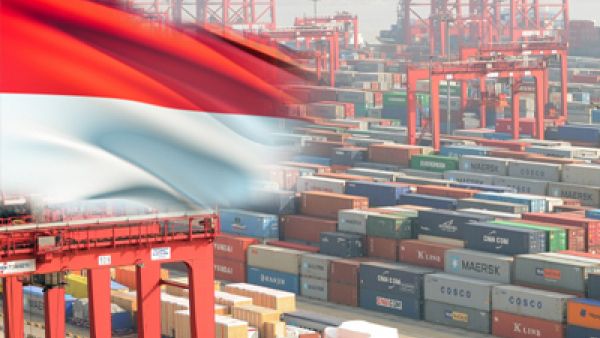 A trade deal with strong social and environmental clauses will benefit both Indonesia and the EU, says David Martin, most-populous Muslim-majority democracy in the world, Comprehensive Economic Partnership Agreement (CEPA), EU-Indonesia relations , ASEAN 
