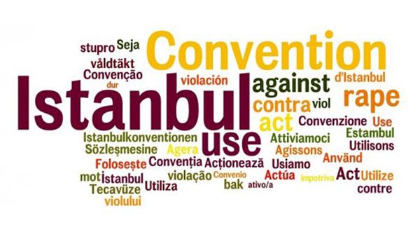 Istanbul Convention - words