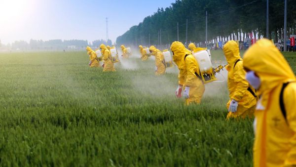 People in yellow suits spraying pesticide on crops