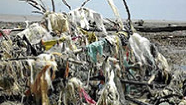 Over 8 billion plastic carrier bags are littered in the EU every year Over 8 billion plastic carrier bags are littered in the EU every year
