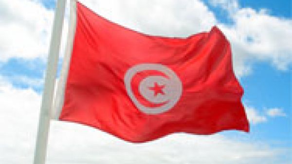 La transition démocratique en Tunisie - Tunisian Flag