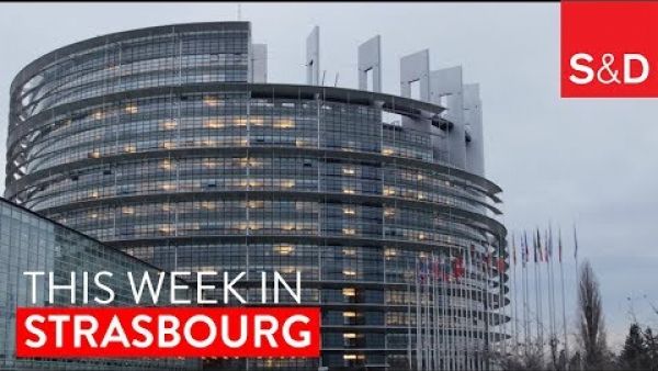 This Week in Strasbourg | Paradise Papers, Rule of Law, Refugees, Social Rights and more