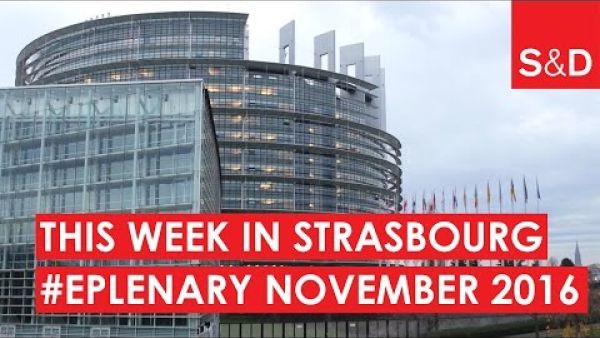 The Week in Strasbourg | November 2016