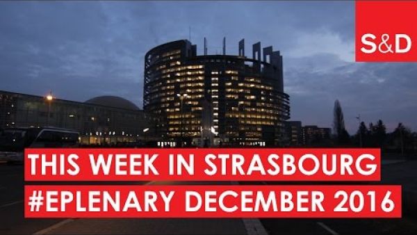 This Week in Strasbourg | December 2016