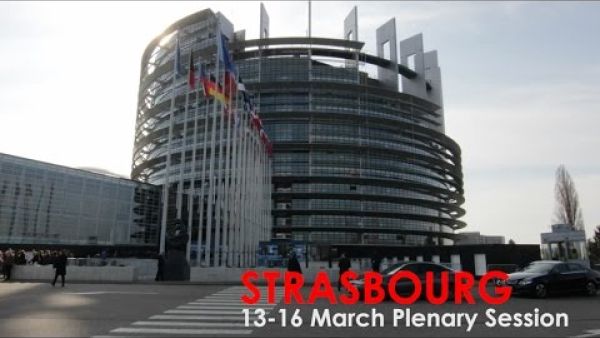 This Week in Strasbourg: Future of Europe, Circular Economy, Conflict Minerals and more... 13 to 16 March 2017