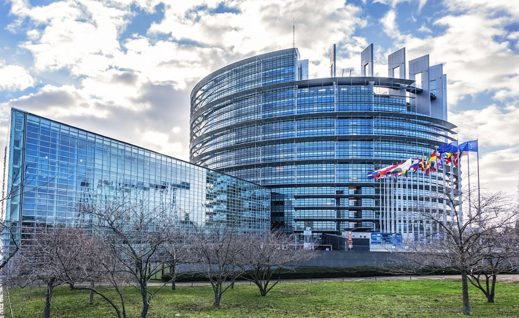 Plenary Times - L'agenda des eurodéputés S&D à Strasbourg: 05 - 08 Février  2024 | Socialists & Democrats